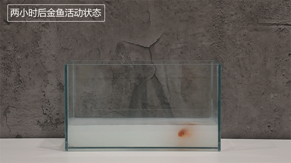新房涂料后气味很重害怕会过敏？别担心，易呼吸墙面漆来了