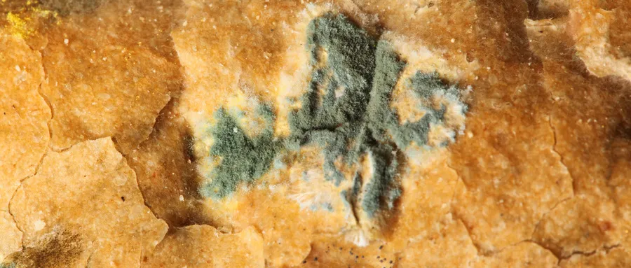 汽车空调真的有必要清洗么？