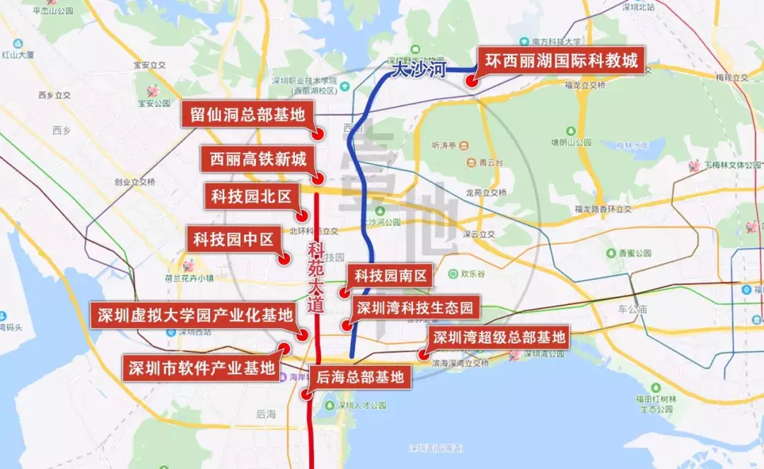 调查 | 南山科技园消费力惊人，小小快餐店，年入千万！