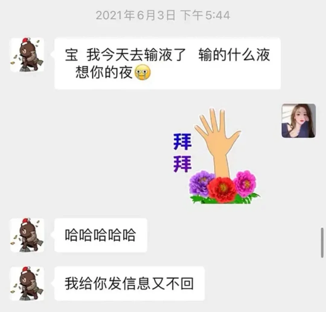 可爱小狗宝贝：活泼机灵的小天使
