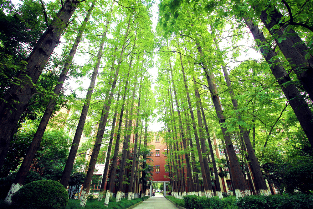 平安第一！河南考生别担心，东华大学录取通知书一定会到！