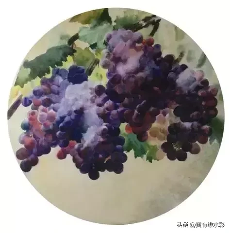 晶莹剔透、颗颗动人,水彩葡萄,真的太诱人了!