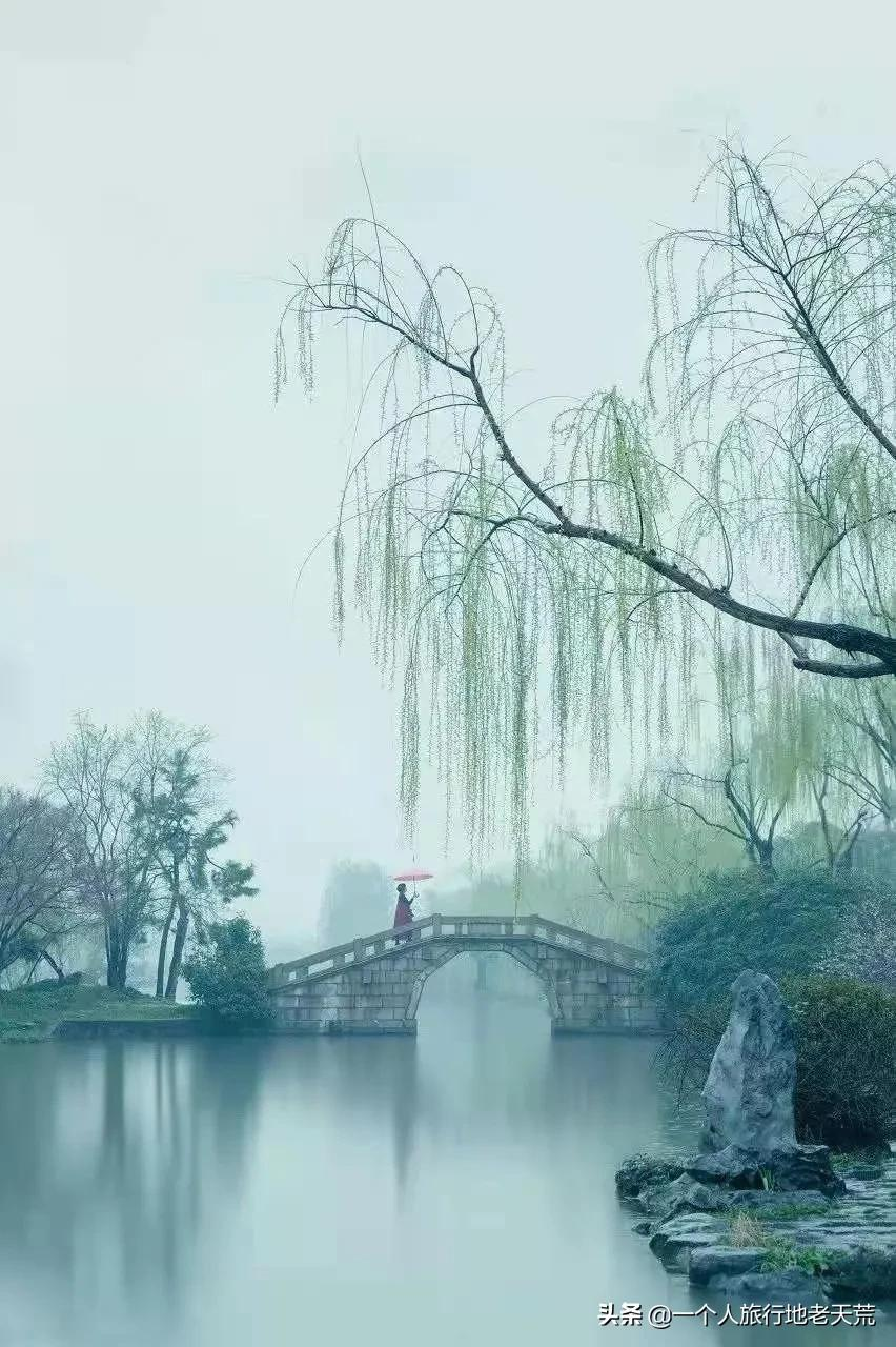江南这么美,所以这个三月,春风十里不如下江南