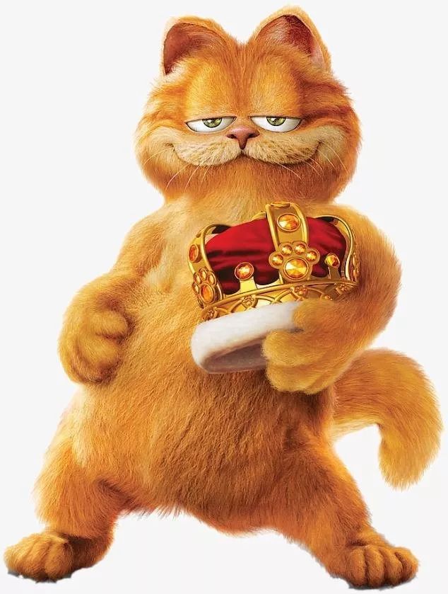 关于加菲猫,这5件事你必须先了解一下