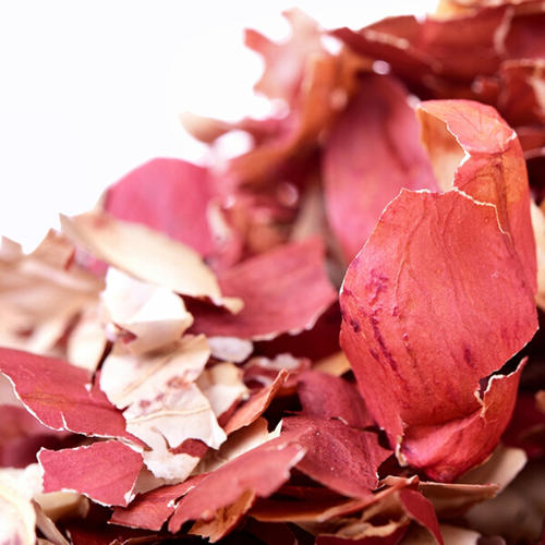 中药花生衣功效多，怎样吃止血升板？