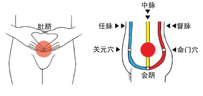 丹田是身上的财位、丁位、文昌位，养好丹田才能丁财两旺啊