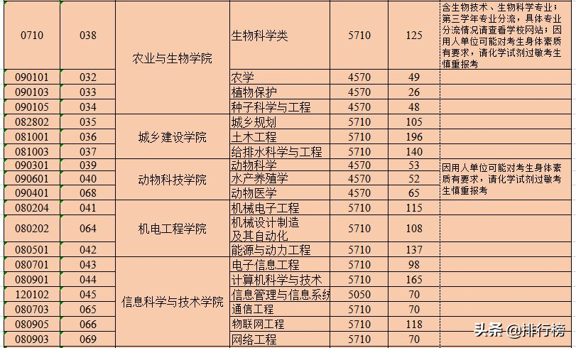 广东各高校2019年招生计划汇总