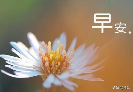 早安心语：时光总是无言，所以来去都匆匆
