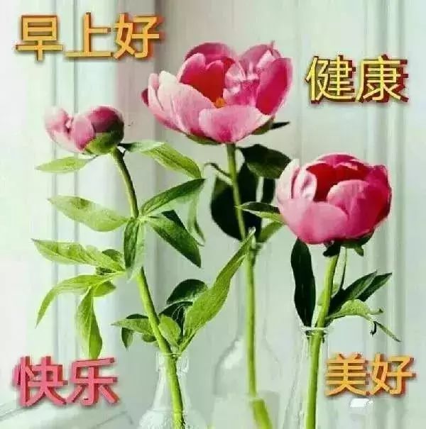 在樱花飘香的季节,细心体会春天的感觉,盼你健康快乐每天,早安