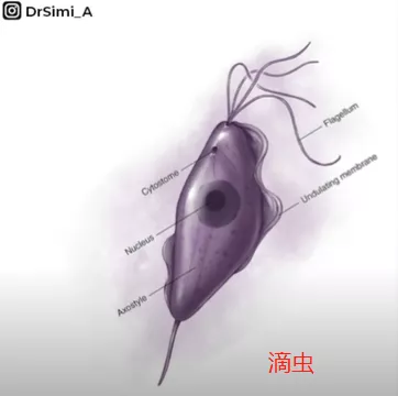 私处分泌物的6种变化,出现这3种颜色赶紧和他一起就医
