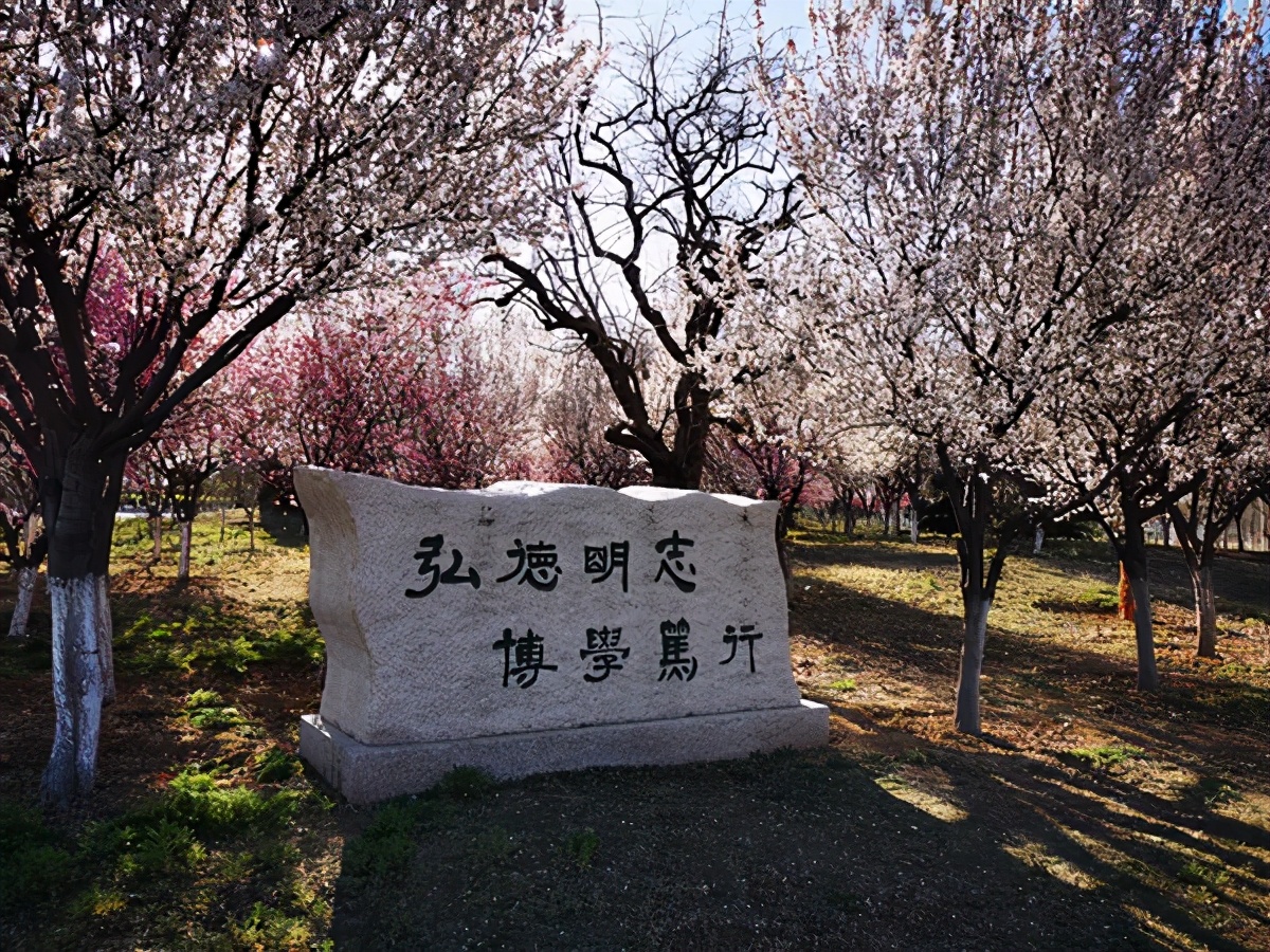 坐拥多个第一，学科成绩亮眼！山东师范大学被省政府“点名”