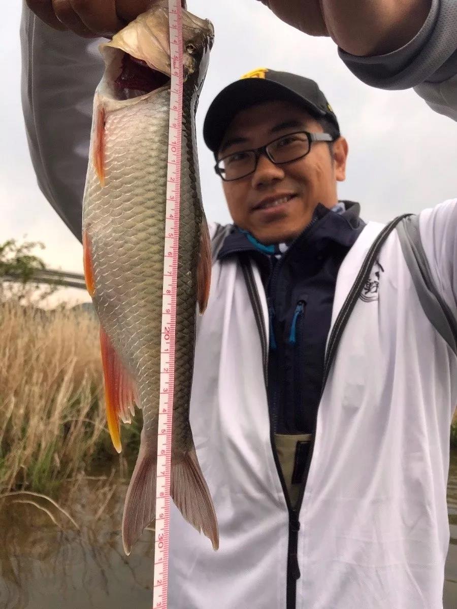 真有半米长的马口?洛阳一位钓鱼人,称钓起巨型马口,引网友质疑