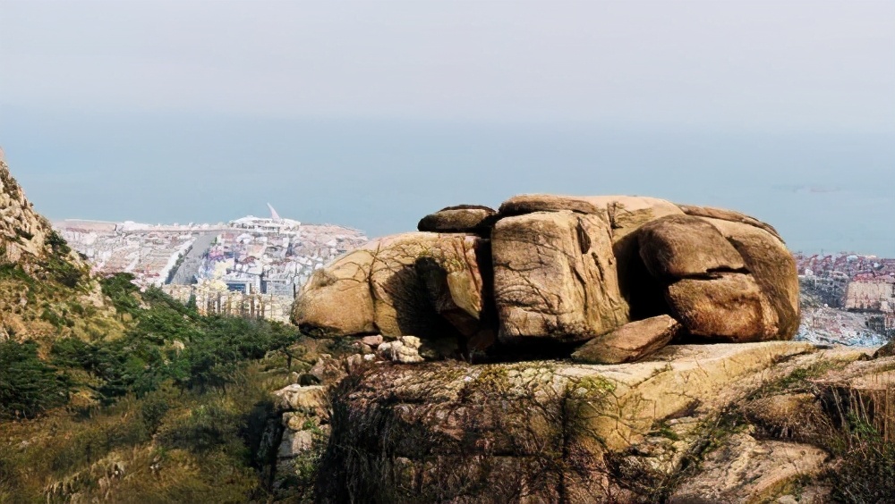 牛年说牛，这几个关于牛的典故，喜欢古诗词的您熟悉吗？