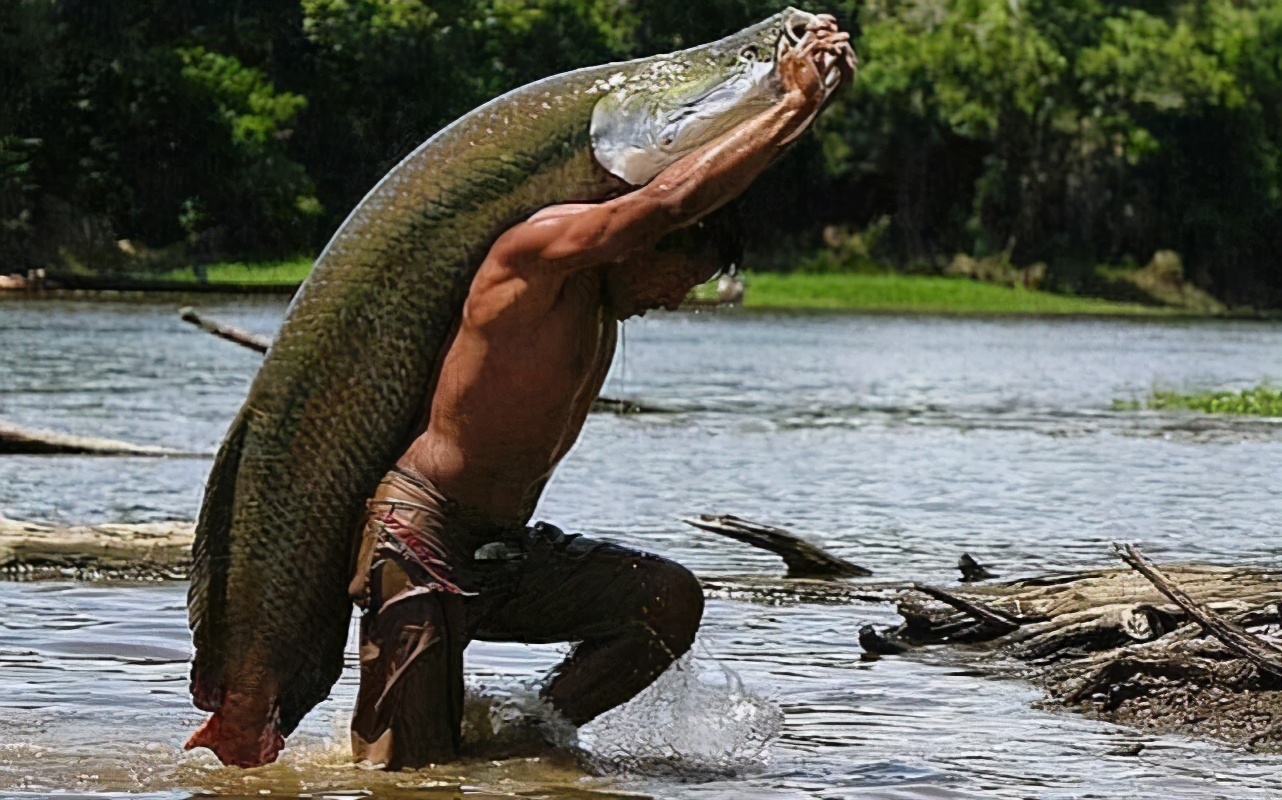 亚马逊河鱼类图鉴,亚马逊河鱼类图片_大山谷图库