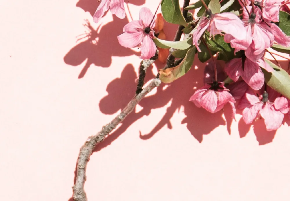 刷新三观！塞进体内的“月经杯”，感觉不可描述