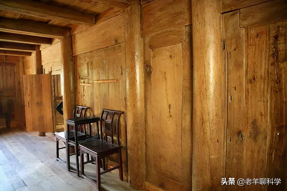 楊樹苗多少錢一棵,小葉黃楊樹苗多少錢一棵