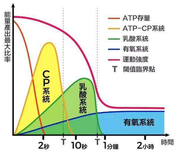 能量产出最大比率