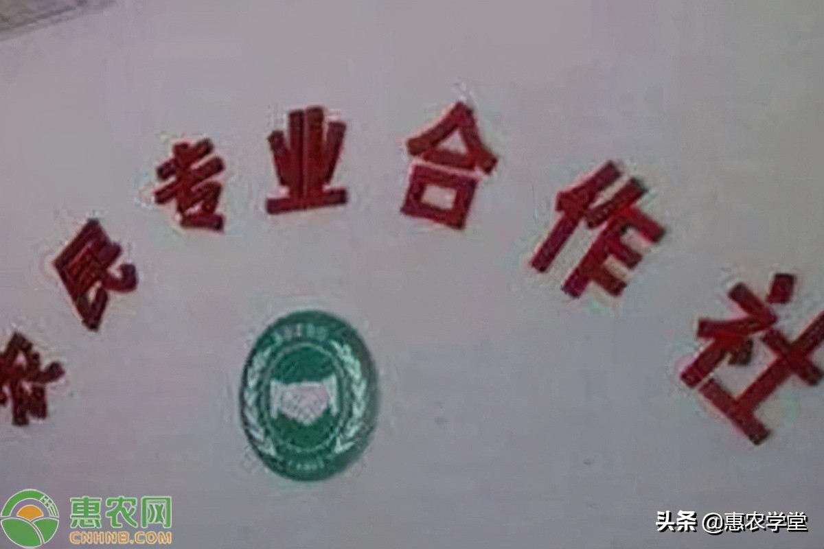 2021年農村合作社補貼多少？如何申請？附：補貼申請流程