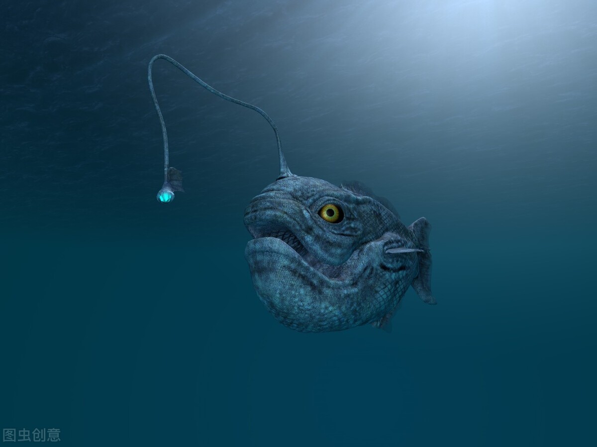 地球上唯一拥有不灭能力的琵琶鱼，死后也能完成交配，有多神奇？