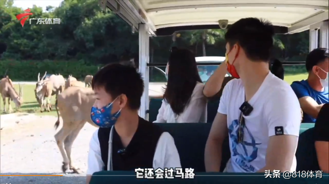 扎心!全红婵陈艾森长隆共进午餐,红姐问:你胖了几斤?森哥:我没胖