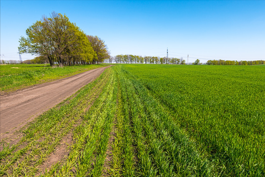 合法征地必须要做这6件事，否则农民有权拒绝交出土地