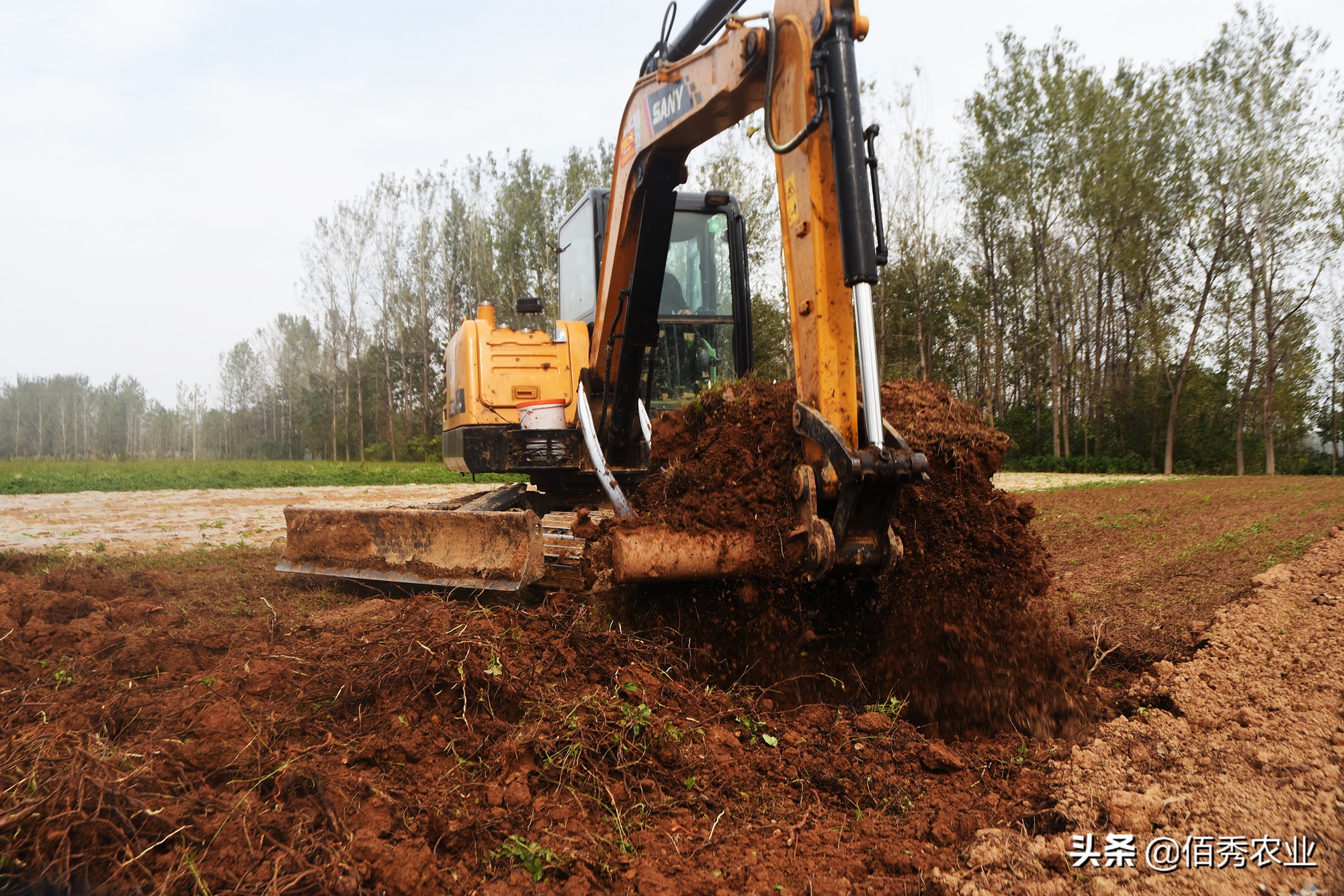 农村青年返乡创业，投入百万元进入农业，如今进退两难，咋回事？