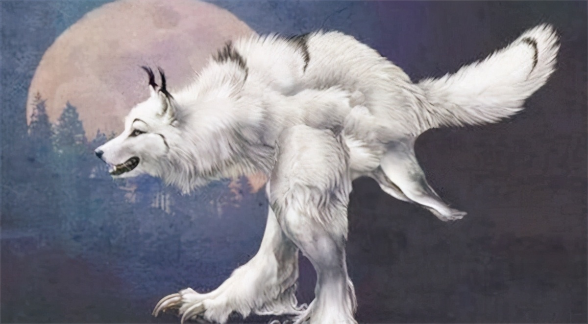 古代诞生"狼狈为奸"这成语,大家都认识狼,那么狈又是啥生物?