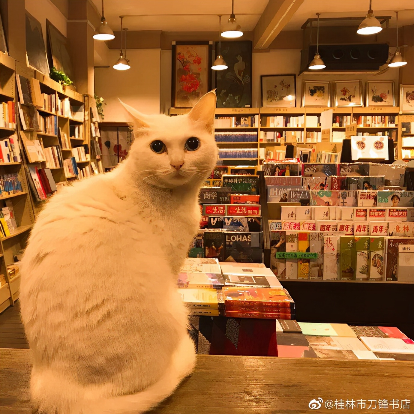 在人间仙境，感受人间烟火与人间理想