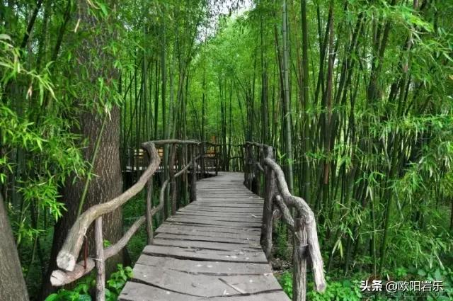 适合老人家去的旅游景点（老年人旅游的意义）