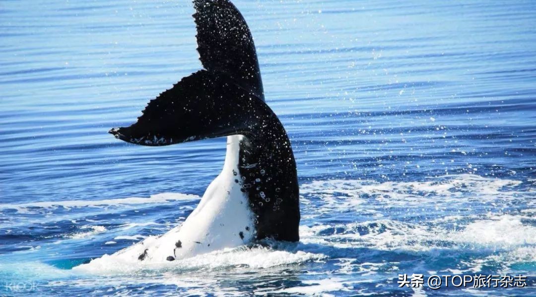 更方便！长沙新开两条直航航线，去尼泊尔与冲绳如此简单