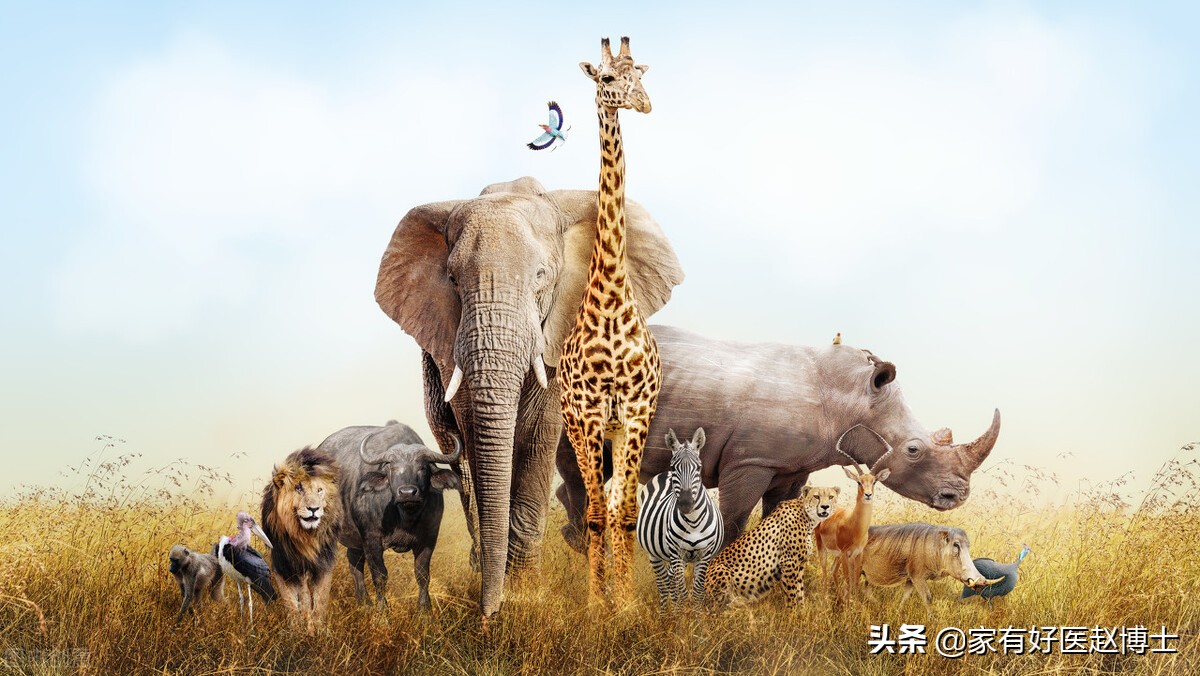 最常见心理问题，特殊恐惧症、社恐症、广场恐惧症，您中了几条？