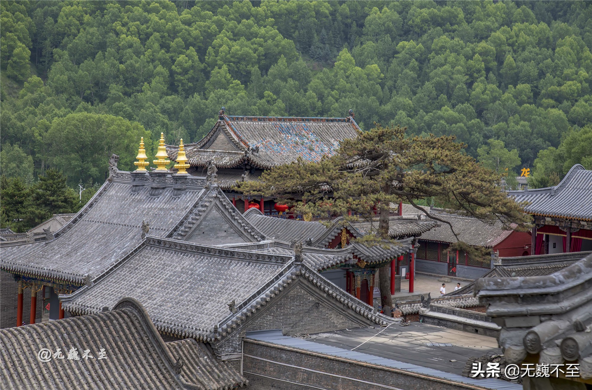 而這其中香火最旺,最為靈驗的寺廟,據說就是五臺山大白塔側的五爺廟.