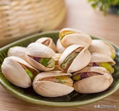 開心果的產地,開心果的產地主要有哪些地方?