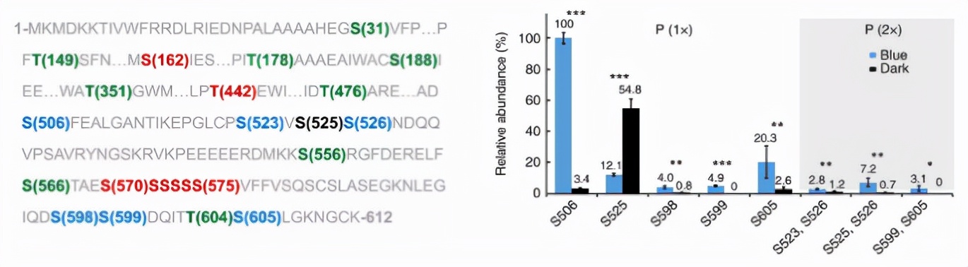 国际关注！东北“超牛”教师：研究步入世界前沿，成果登顶《自然》《科学》！