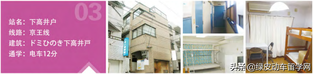 日本语言学校评测——被忽略的宝藏，太阳树日本语学校