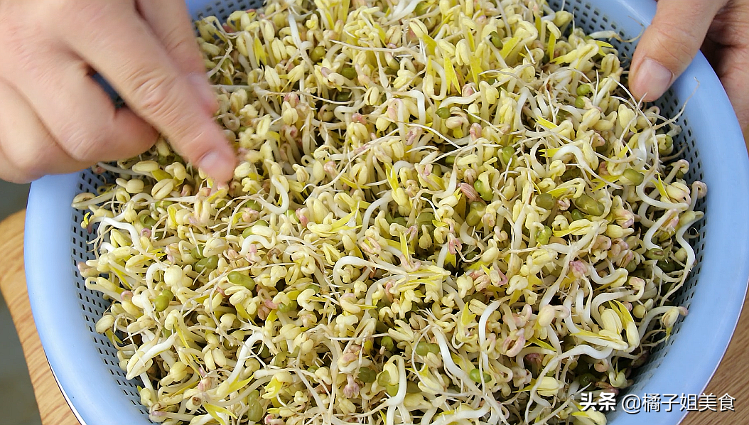 生豆芽怎么生（九步教你在家就能种植脆嫩的豆芽）