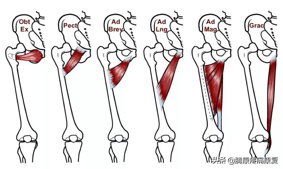 大腿疼痛的原因和治疗原则