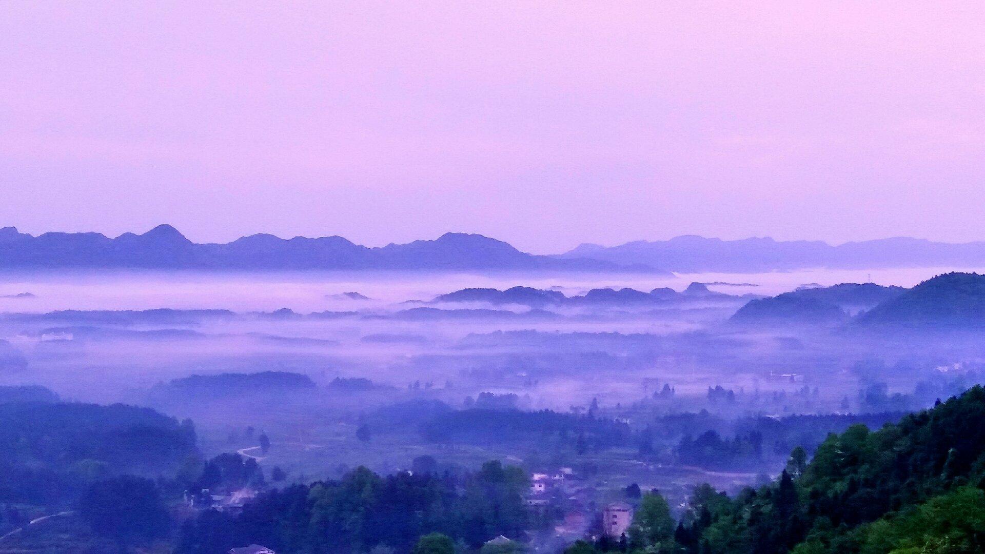 贵州大学科技学院与贵州财经大学商务学院转设，黔南系高校的壮大