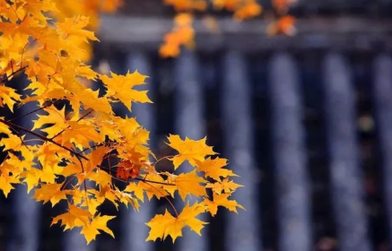 13首饮酒诗词，13重喝酒境界（全是顶级名篇，值得收藏）