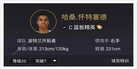 nba2k可抓帽球星有哪些(NBA2K：想在游戏里抓帽？这球员不仅轻松实现，还有更OP的统治力)