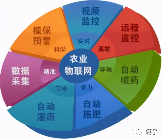 区块链+物联网助力智慧农业新发展