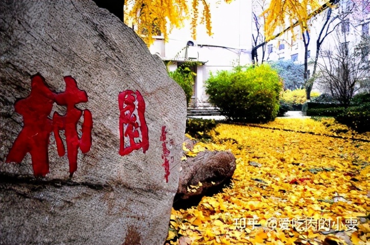 22考研——310分上岸211？这个专业260就有书读