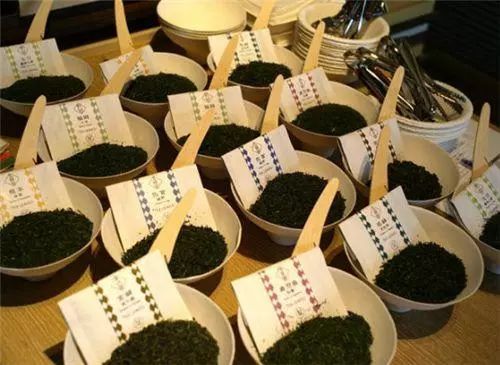 这几家国外的茶馆，设计真的前卫，你觉得好看吗？