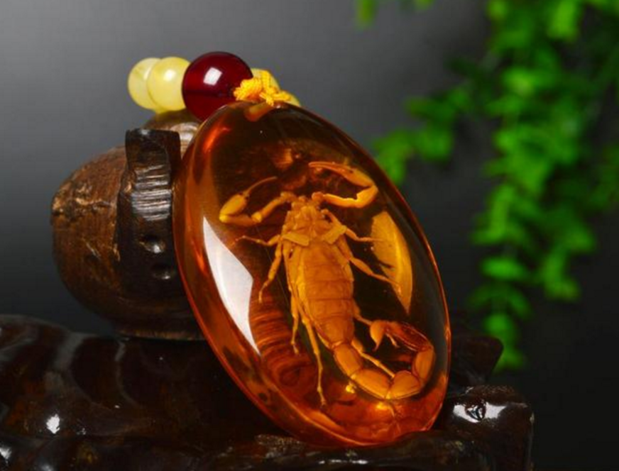 别再被小学课本"欺骗"了,真正的琥珀形成过程,原来这么复杂