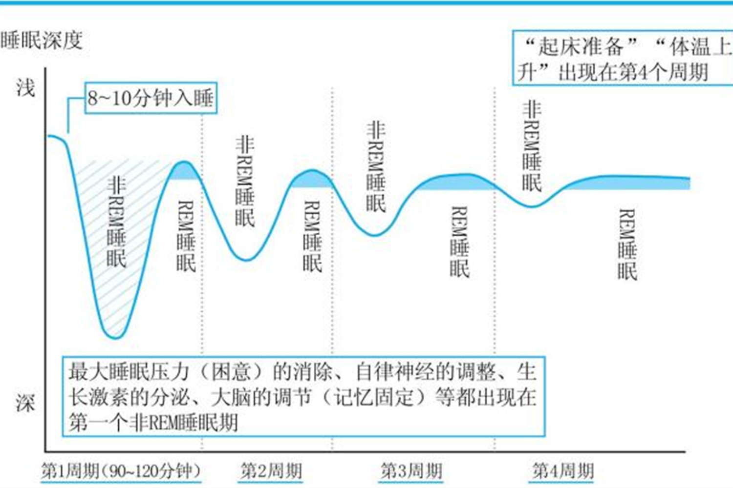 婴儿睡眠倒退（4个月经历第一个）-幼儿百科-魔术铺