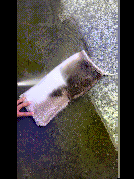 爆笑的GIF动图：我真的想知道，在这艘船上的都是什么人
