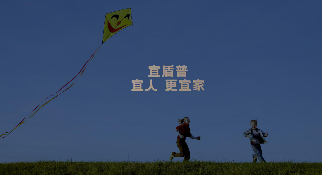 宜盾普PK大宇详细对比，同样是空气炸锅你会怎么选？