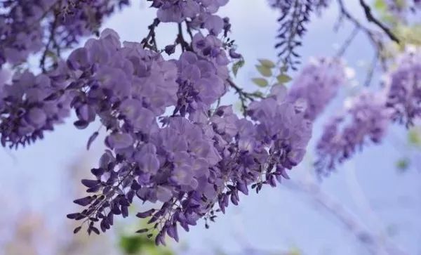 56范文 | 如何用“蒙太奇”结构法写出瞬间之美？