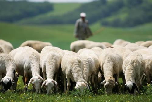 贾会计还是真精明？无差别收割200亿，他下周真的会回国吗？