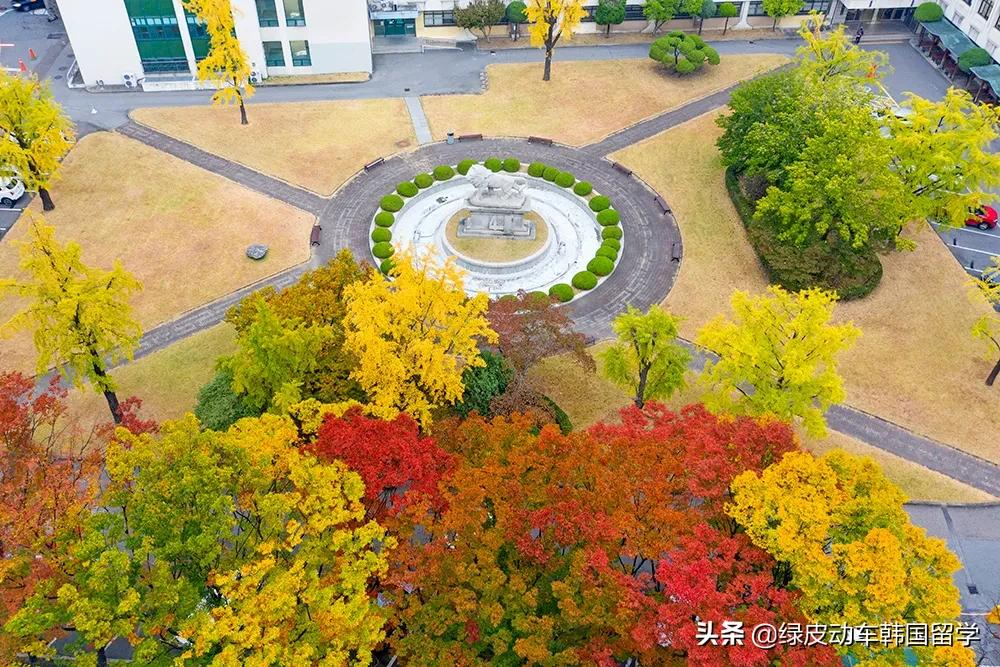 汉城大学（韩国的地方大学）